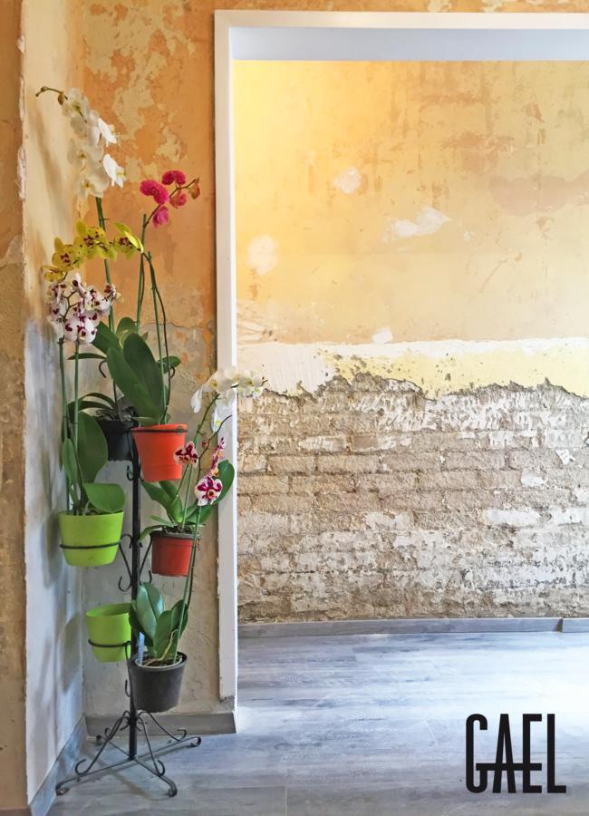 Gael Condesa Hostel Μεξικό Εξωτερικό φωτογραφία